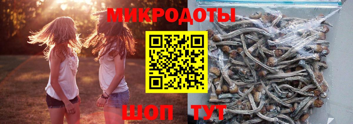 Галлюциногенные грибы MAGIC MUSHROOMS  Псилоцибиновые грибы MAGIC MUSHROOMS  Вход с VPN  Камышлов 