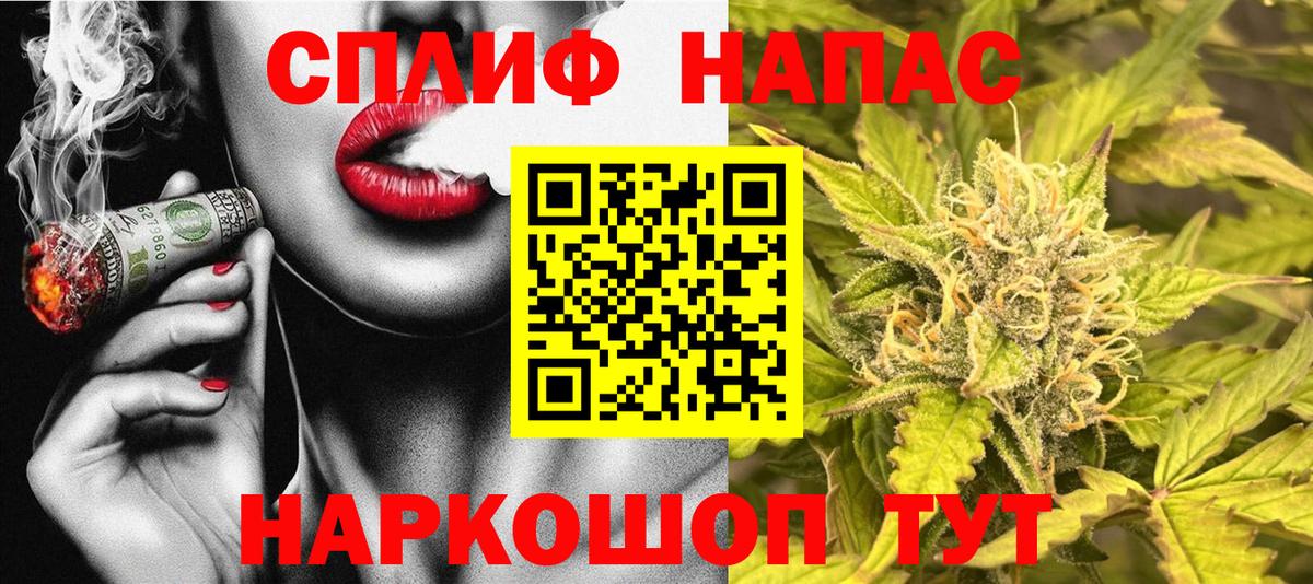 Шишки марихуана сатива  Вход с VPN  Камышлов  Бошки Шишки SATIVA & INDICA  Конопля THC 21% 